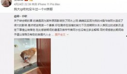 最新内幕爆料,最新内幕爆料，揭开行业黑幕背后的惊人真相！