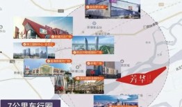 爆料东莞山鸡事件最新消息,揭秘背后惊人内幕