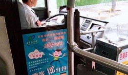 石家庄公交车最新爆料,最新线路调整与爆料揭秘