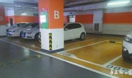 停车场最新爆料视频大全,揭秘停车场的秘密与奇闻异事