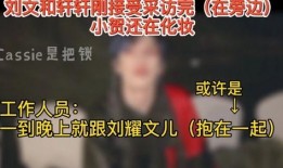 文轩爆料视频最新,娱乐圈幕后真相大曝光