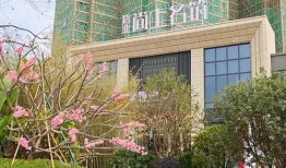 歪歪新闻最新爆料电话号,揭秘神秘电话号码背后的惊人真相