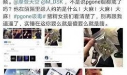 朝阳群众最新爆料,揭秘隐藏在都市角落的惊人秘密