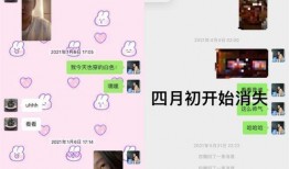 最新爆料微信头像,最新爆料揭示社交圈层新动向”