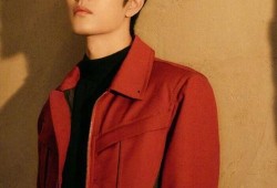 肖战热巴最新爆料,揭秘幕后故事，精彩瞬间曝光