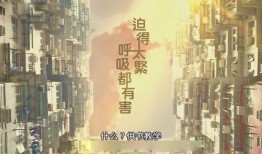 新港最新爆料事件,揭秘事件背后惊人真相