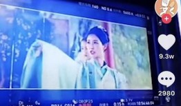 最新爆款视频热点爆料,最新热点爆料大揭秘！