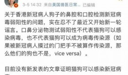 香港新冠状病毒最新爆料,疫情动态与防控措施全解析
