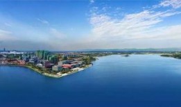 沂河新区爆料案件最新消息,揭秘案情细节与侦破进展