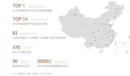 福州楼盘爆料事件最新消息,最新进展揭秘，业主维权真相曝光