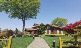 深圳拆迁爆料最新消息查询,揭秘热点区域补偿方案与进展