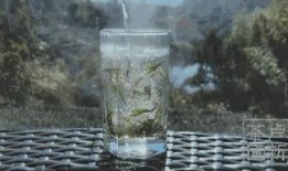 茶农世家最新爆料,传承千年的神秘茶事