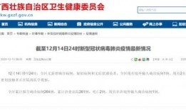 广西最新爆料视频网站,揭秘热门视频网站幕后故事