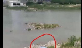 爆料绵阳最新跳河事件,悲剧重演，生命无常引发社会关注