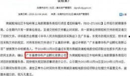 东莞房产爆料最新消息查询,揭秘2023年市场走势与热门项目盘点