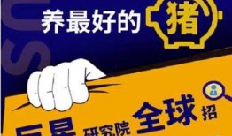 喜相逢最新爆料视频大全,精彩瞬间尽收眼底