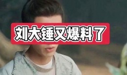 刘大锤爆料大全图片最新,揭秘娱乐圈最新热点事件